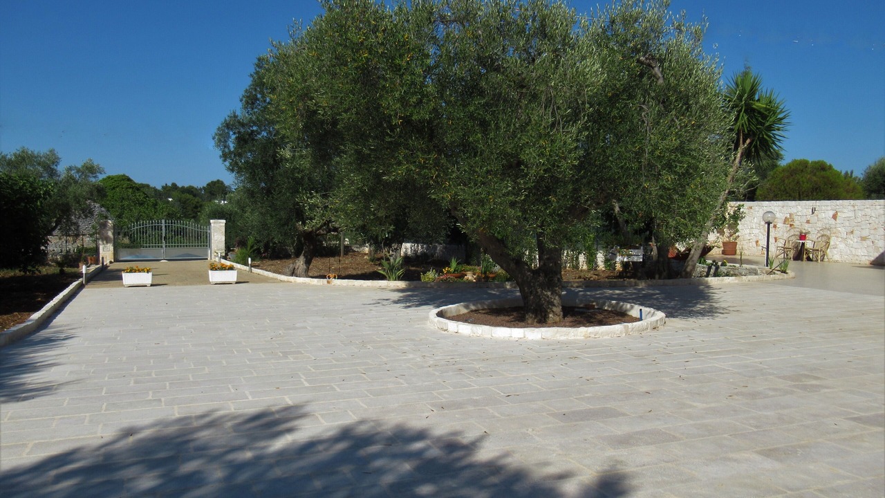 Photo of Outdoor in Monopoli