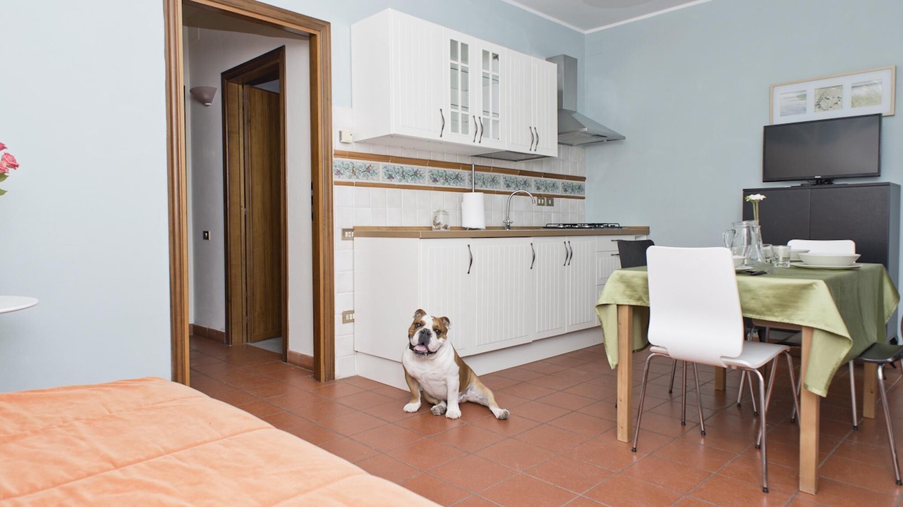 Photo of Bedroom in Castagno