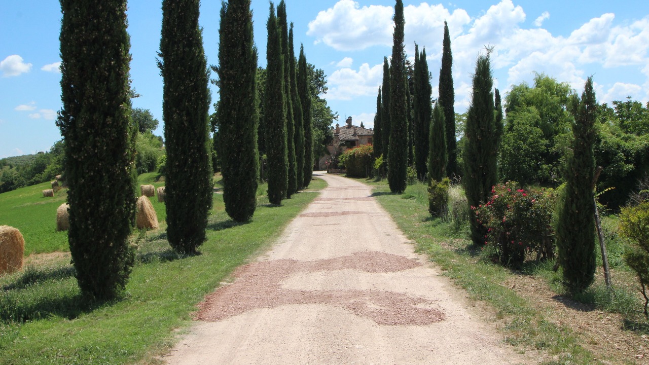 Photo of Outdoor in San Venanzo