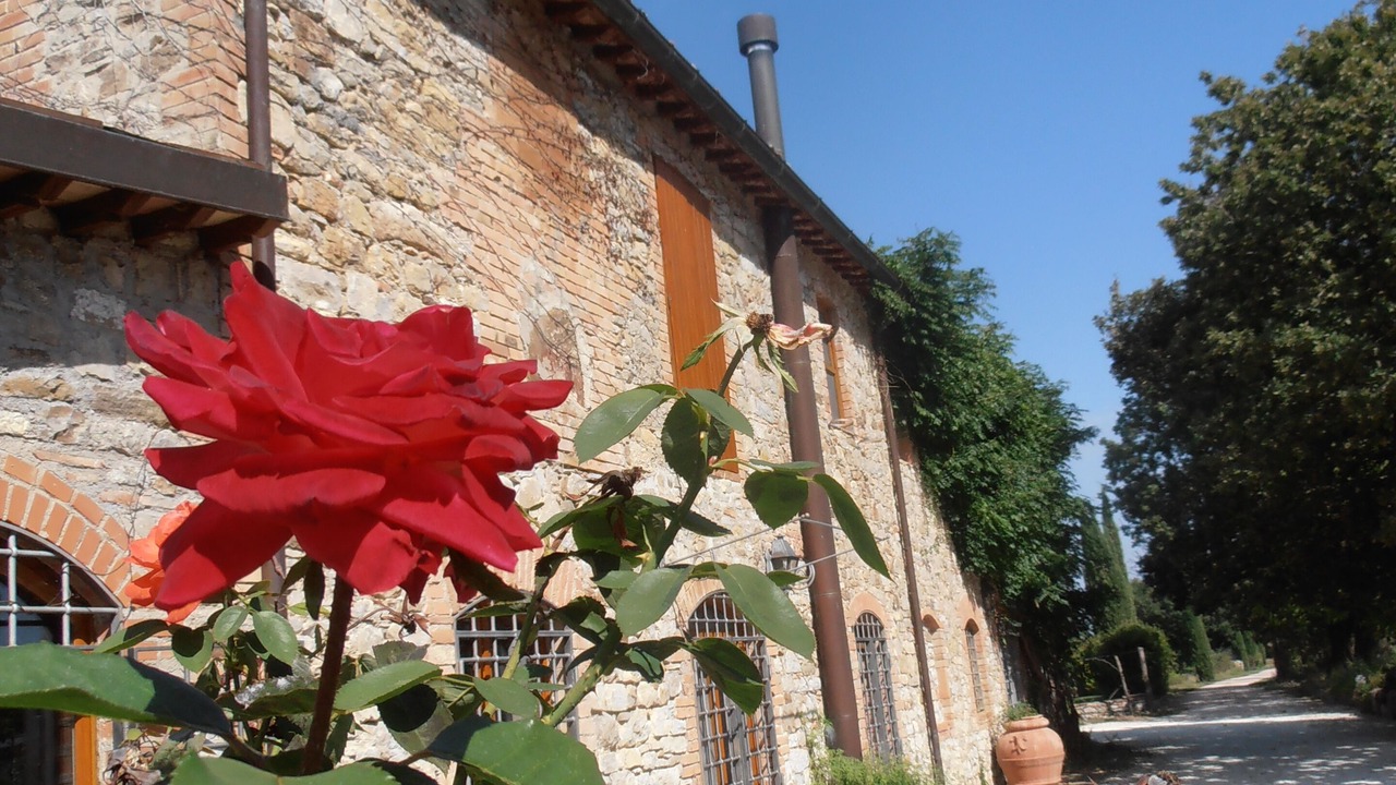 Photo of Outdoor in San Venanzo