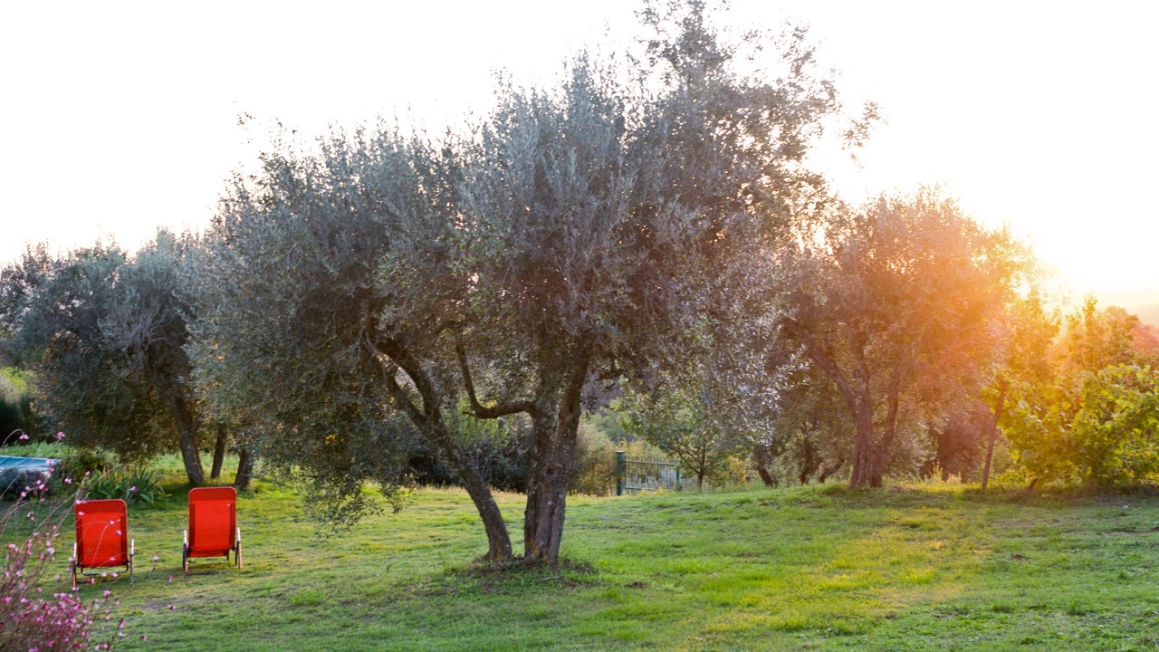 Photo of Outdoor in Montefiascone