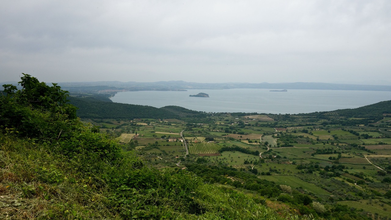Photo of Others in Montefiascone