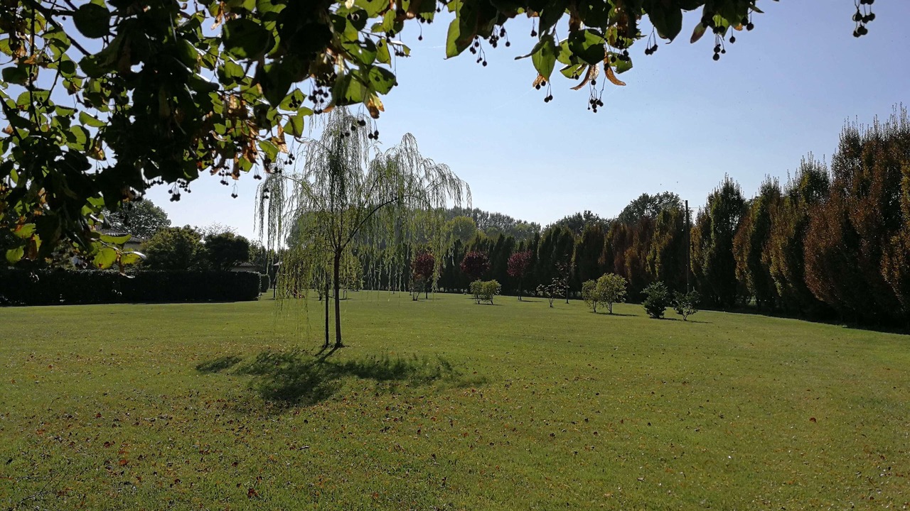 Photo of Outdoor in Malalbergo