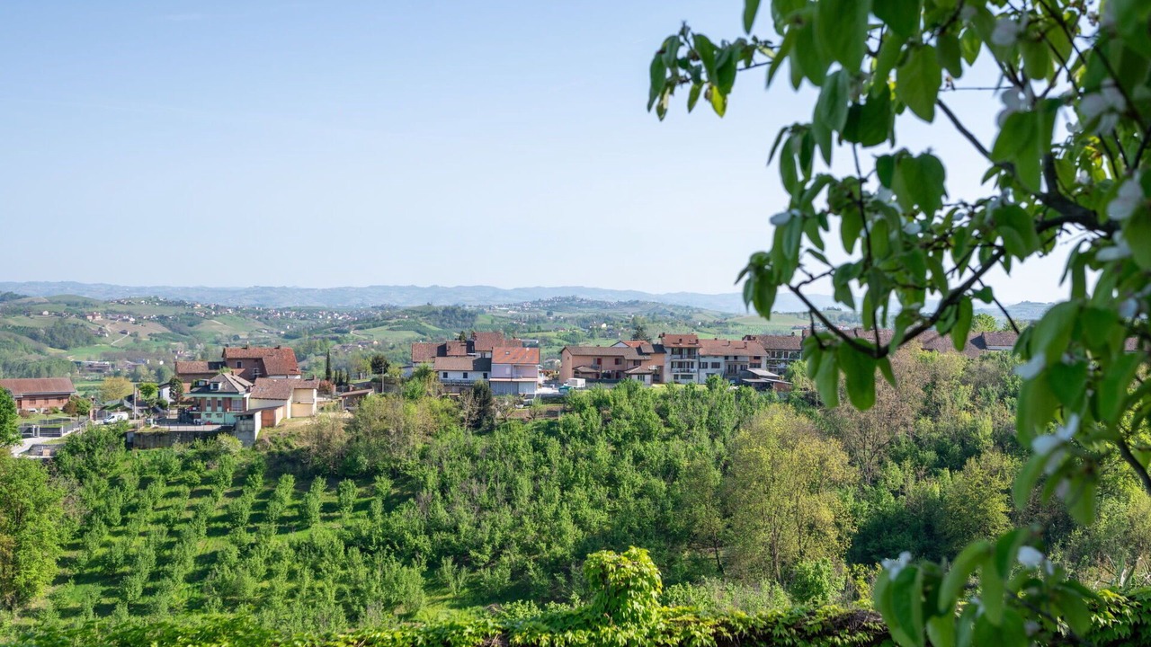 Photo of Others in San Damiano dʼAsti