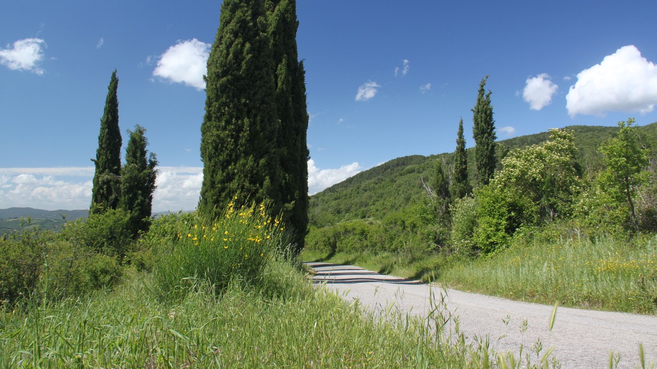 Photo of Outdoor in Poggiarello