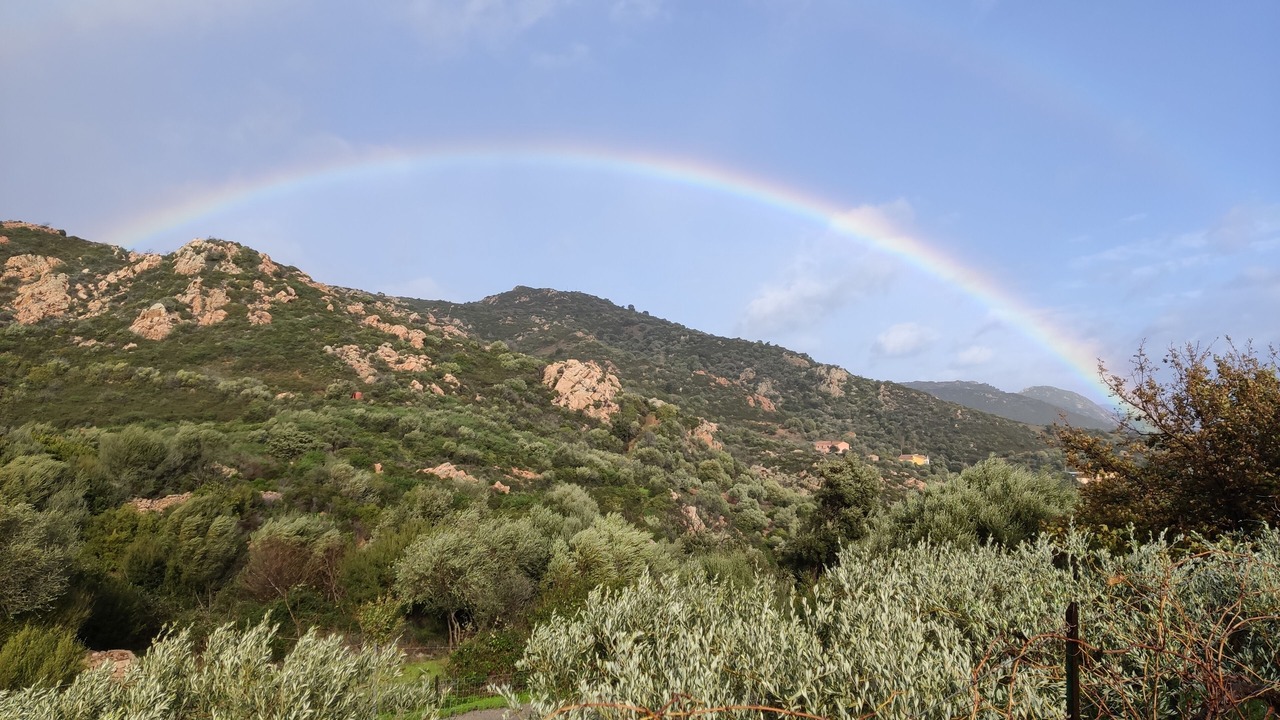 Photo of Outdoor in Loiri Porto San Paolo