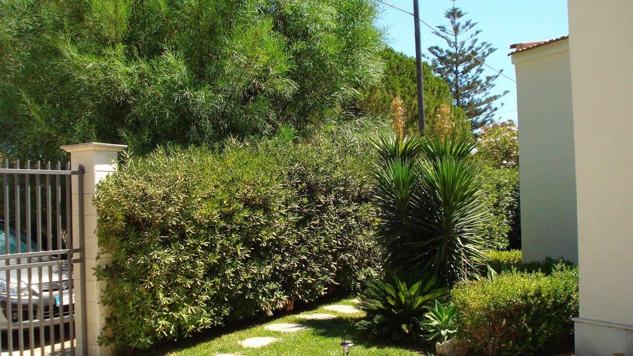 Photo of Outdoor in Fontane Bianche