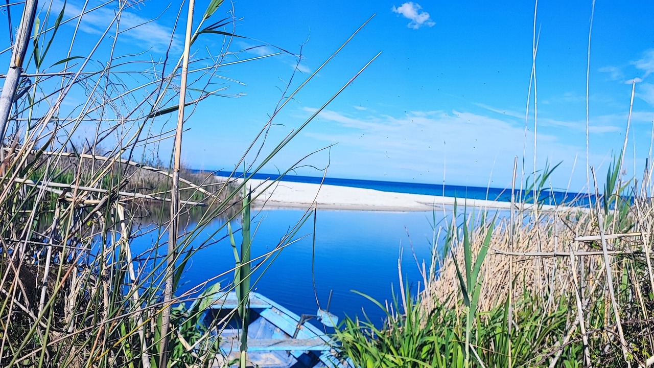 Photo of Outdoor in Budoni