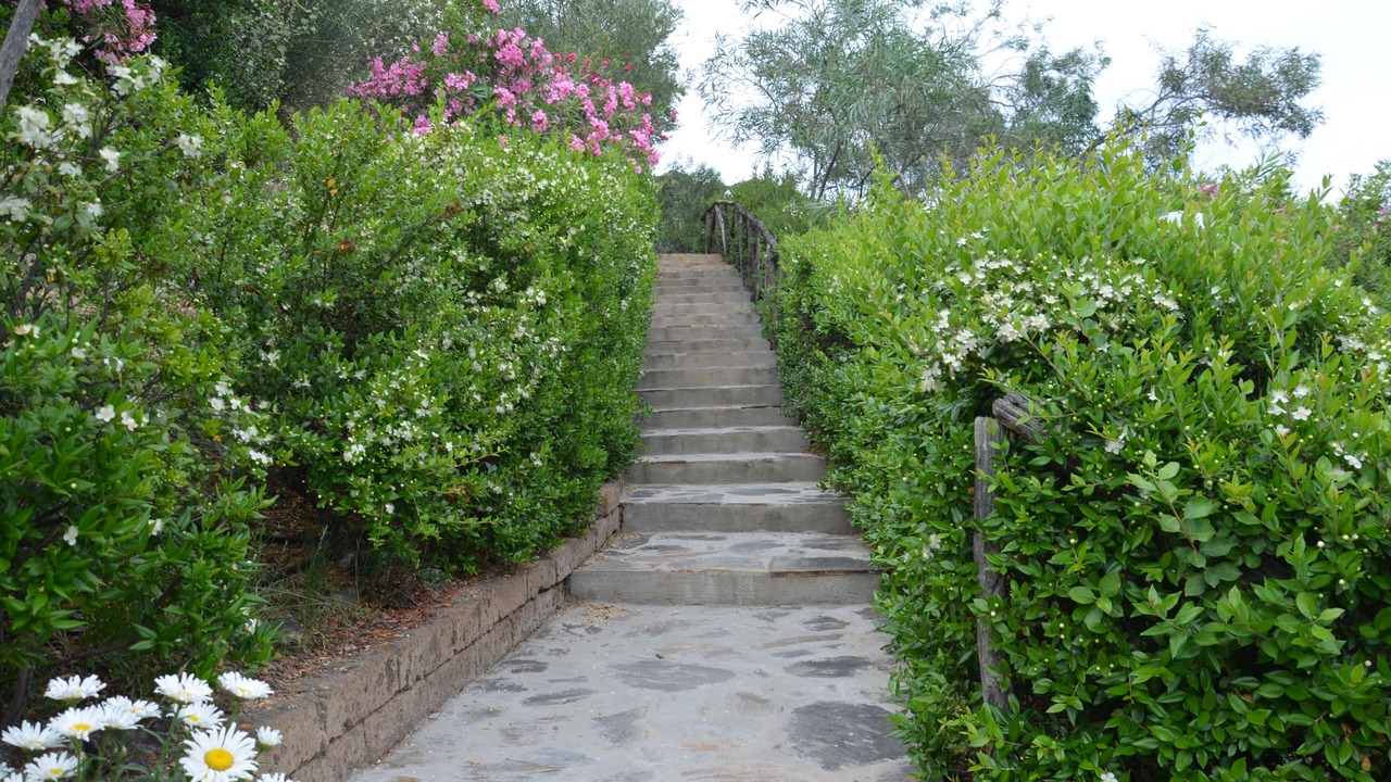 Photo of Outdoor in Eden Rock