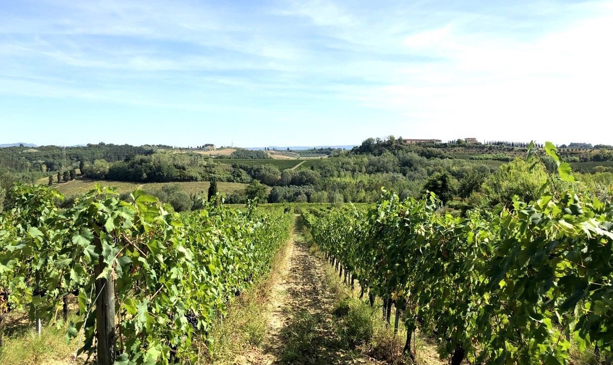 Photo of Outdoor in Orciatico