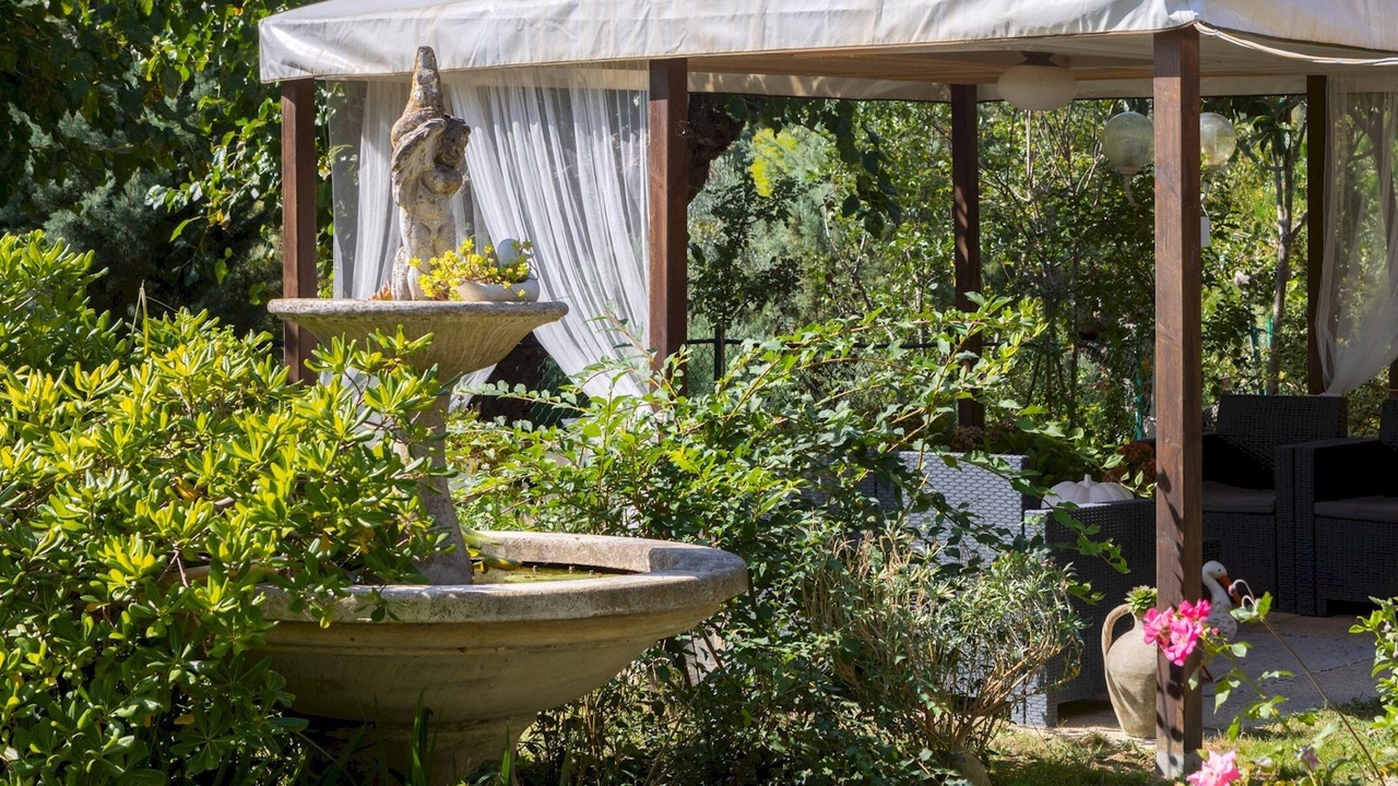 Photo of Outdoor in Monteciccardo