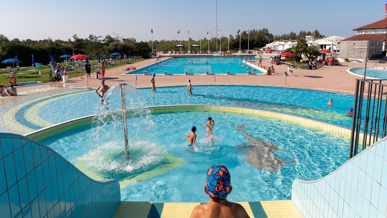 Photo of Others in Isola Albarella