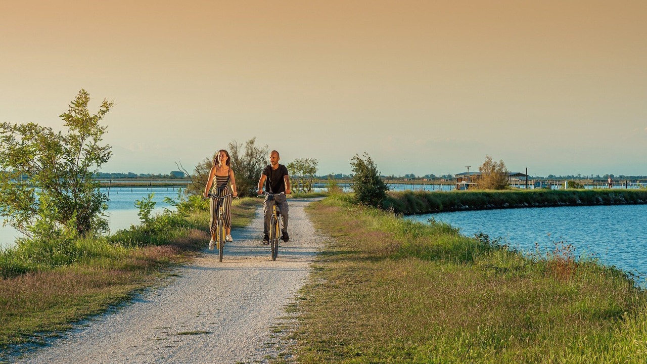 Photo of Others in Isola Albarella