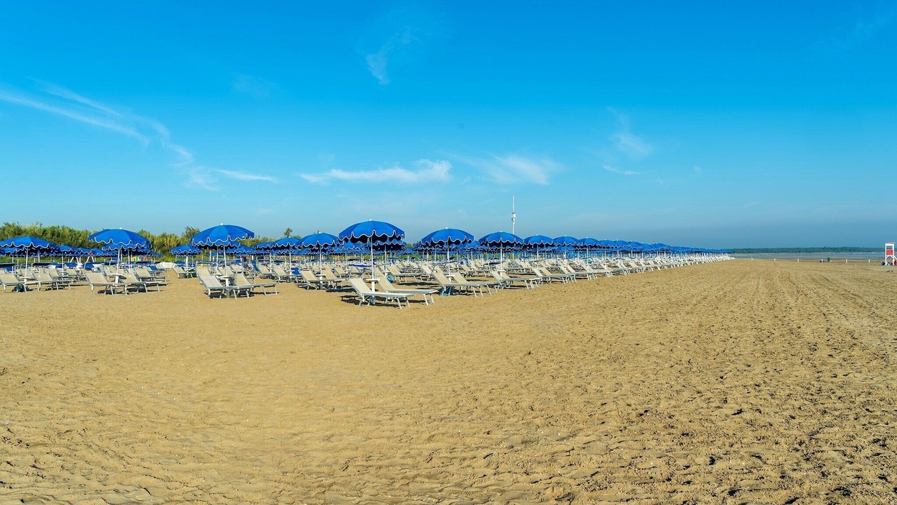 Photo of Others in Isola Albarella