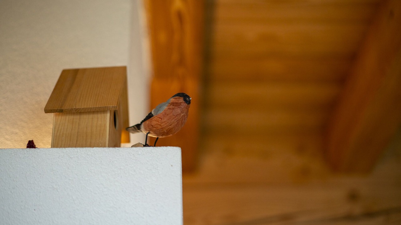Photo of Others in Chies d'Alpago