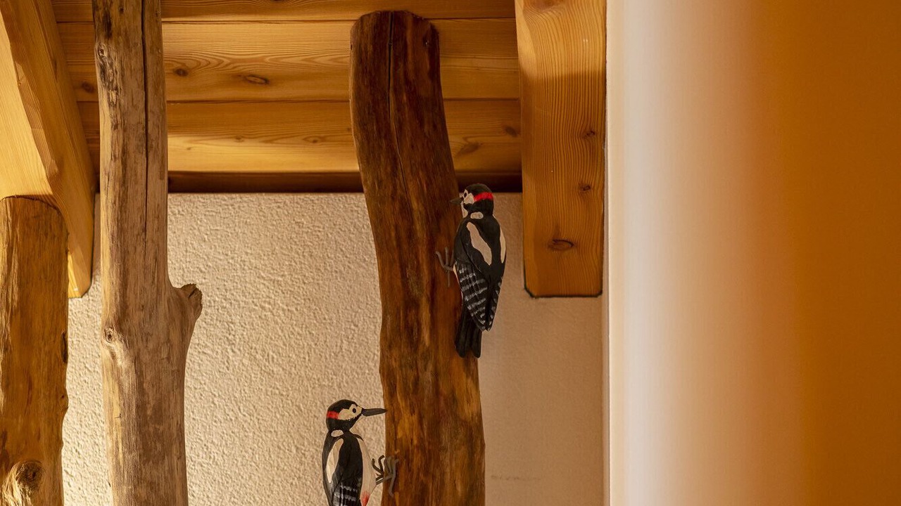 Photo of Others in Chies d'Alpago