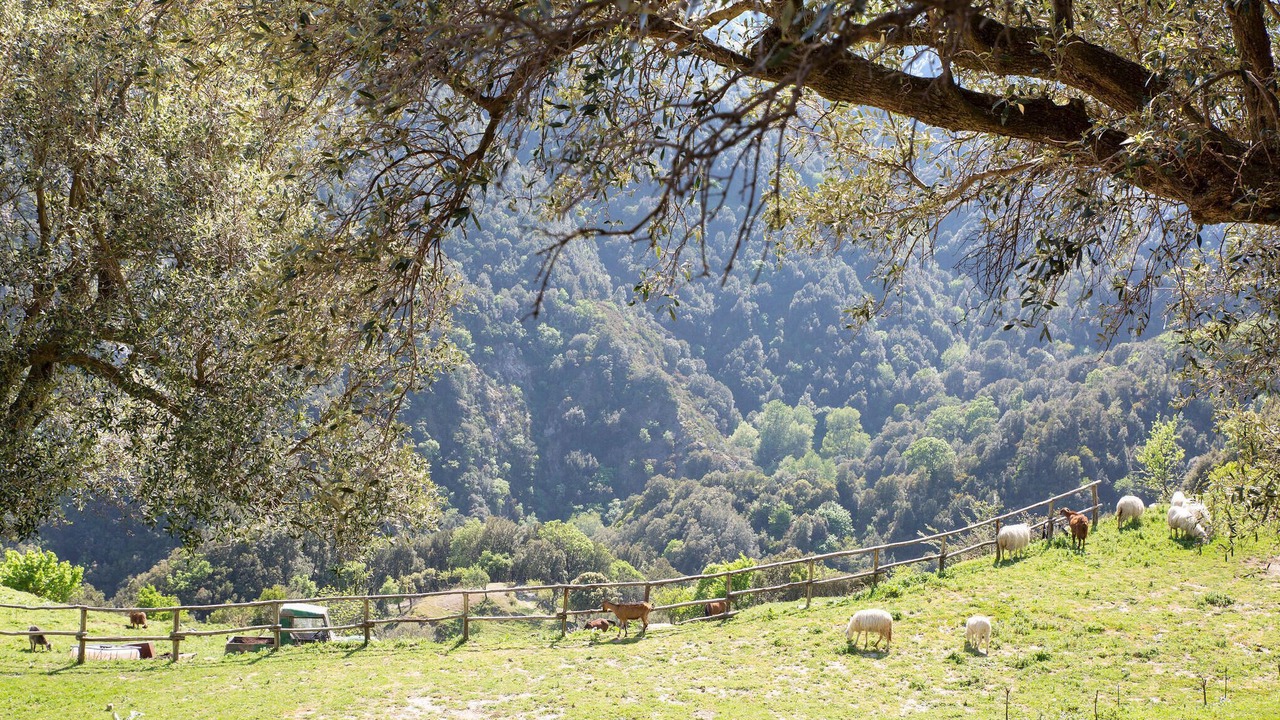 Photo of Others in Cimina