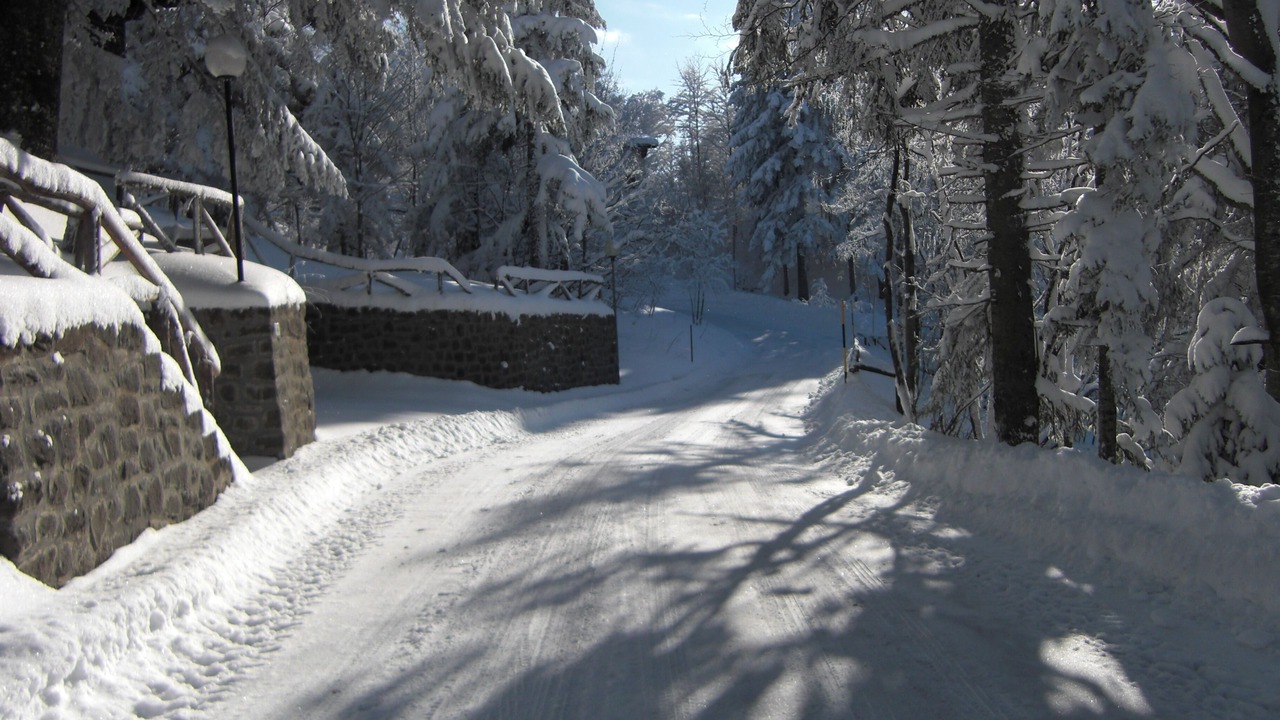 Photo of Others in Abetone