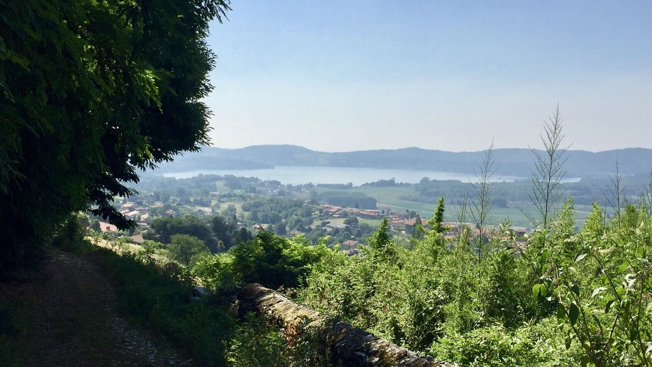 Photo of Others in Cascinette d'Ivrea