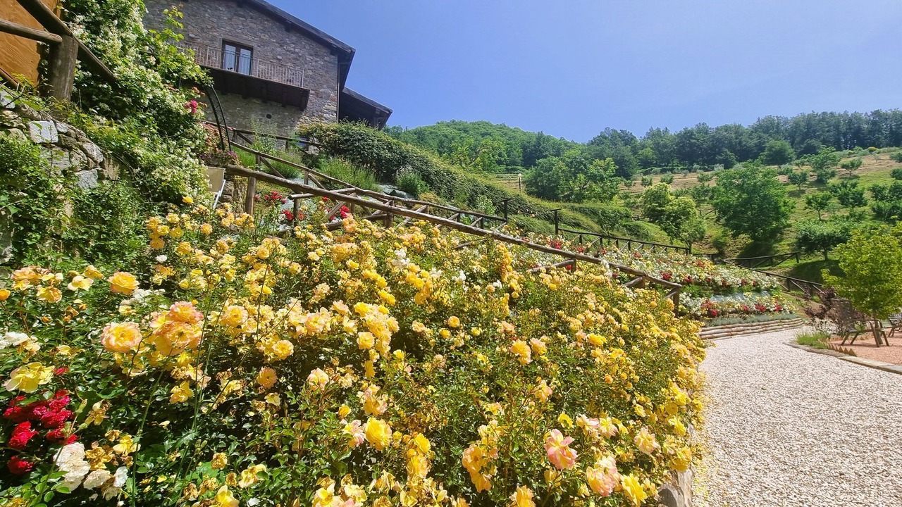 Photo of Outdoor in Fosciandora