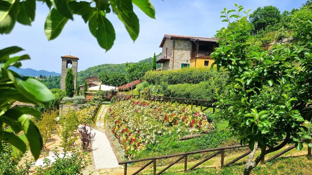Photo of Outdoor in Fosciandora