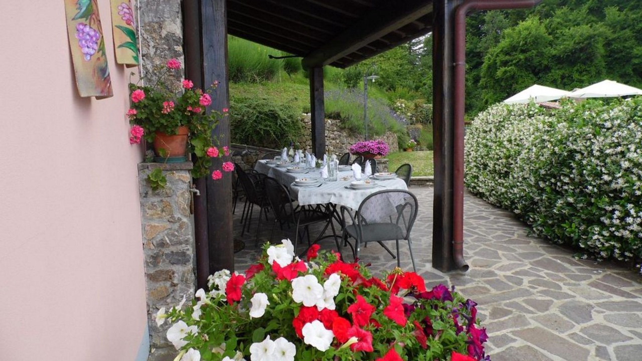 Photo of Outdoor in Molazzana