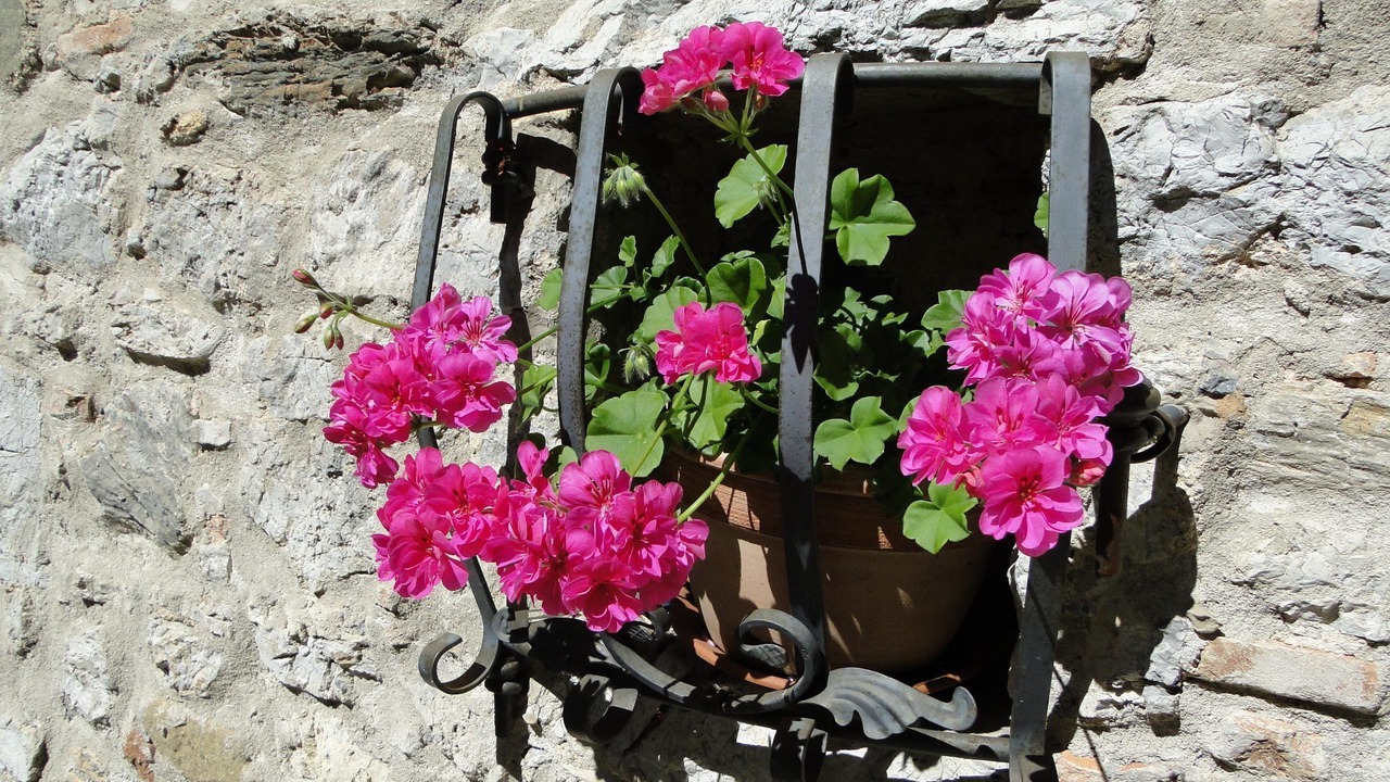 Photo of Outdoor in Molazzana