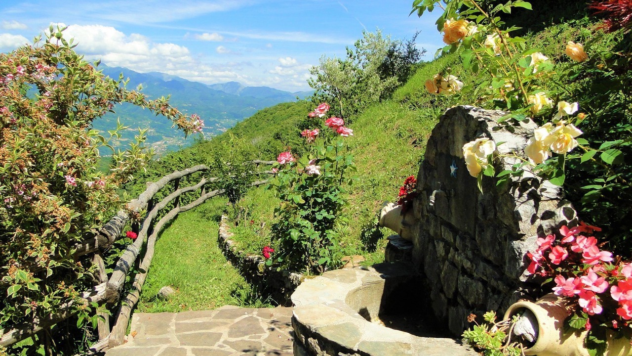 Photo of Outdoor in Molazzana