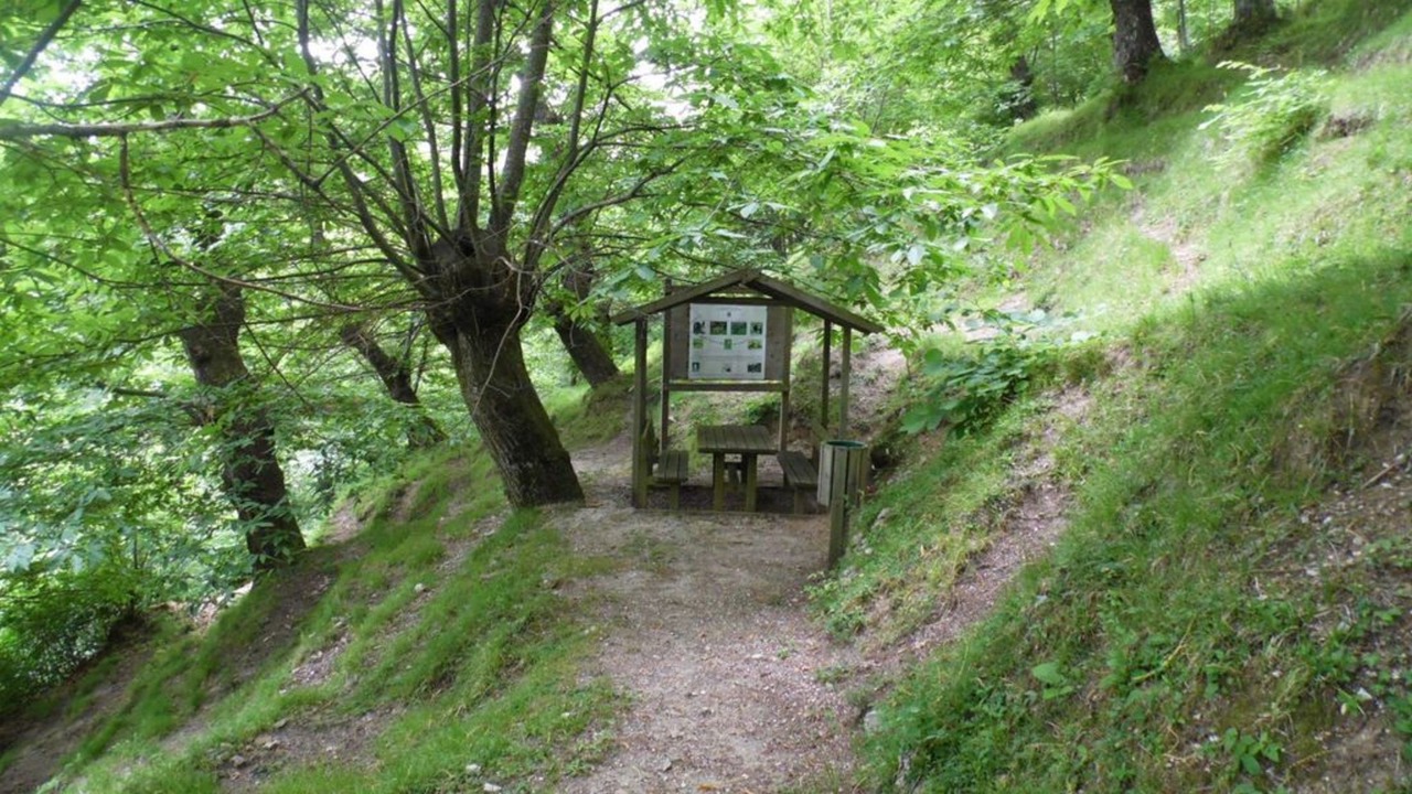Photo of Outdoor in Molazzana