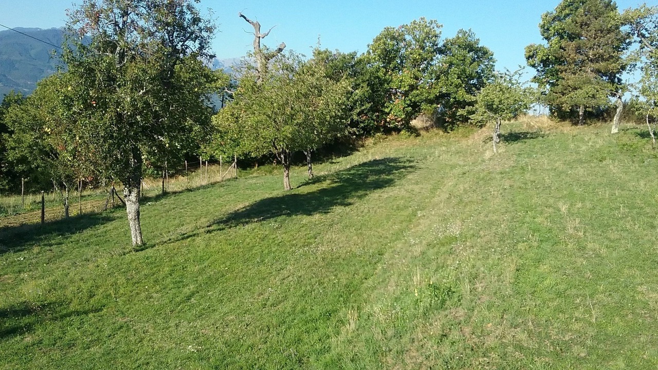 Photo of Others in Castiglione di Garfagnana