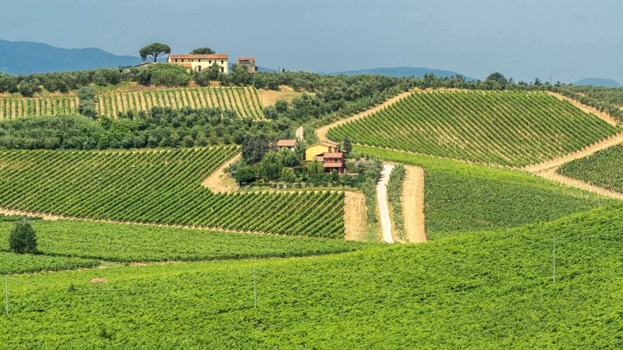 Photo of Others in Lamporecchio