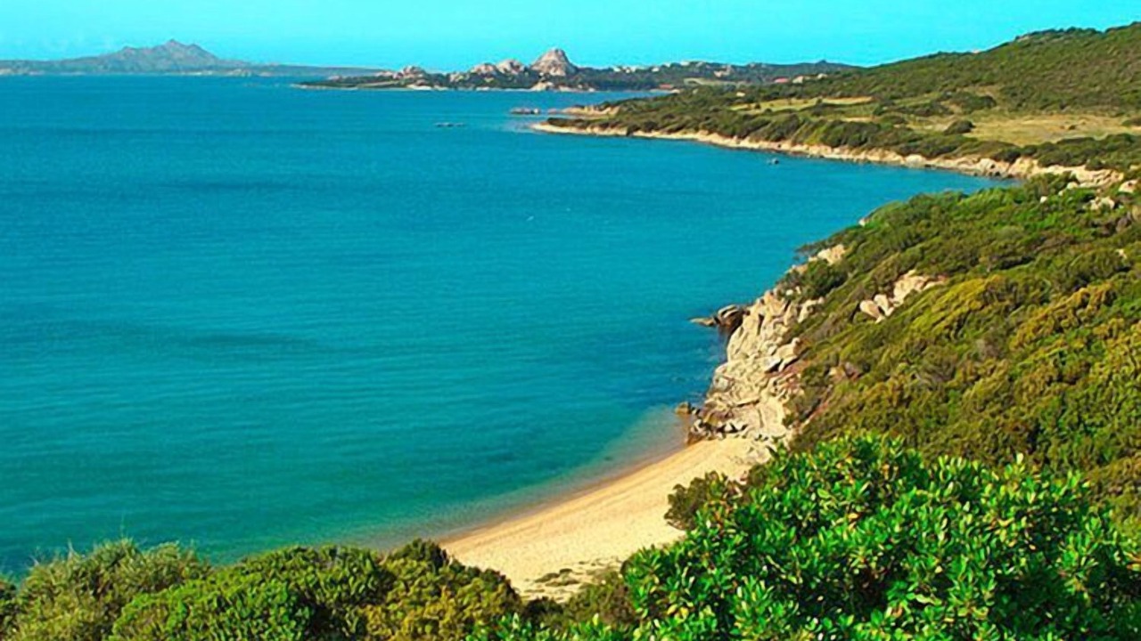 Photo of Others in Baja Sardinia