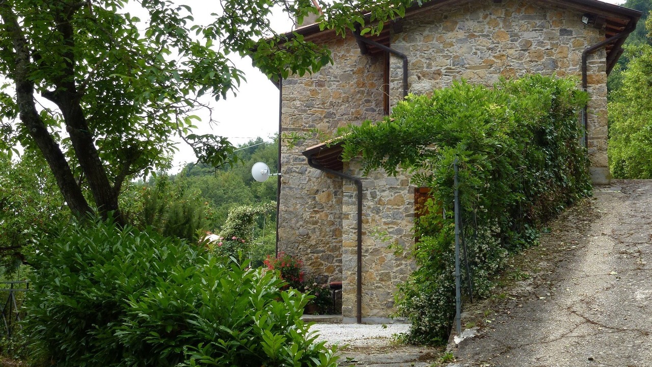 Photo of Outdoor in Camaiore
