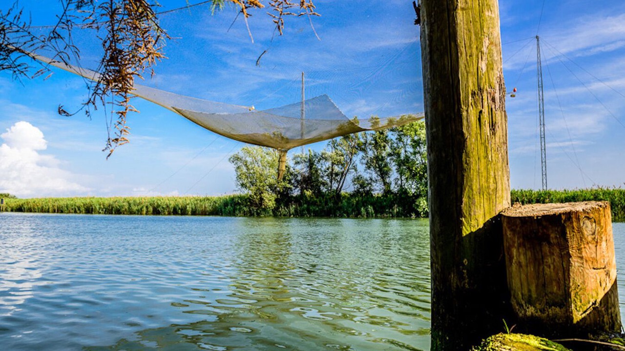 Photo of Others in Marano Lagunare