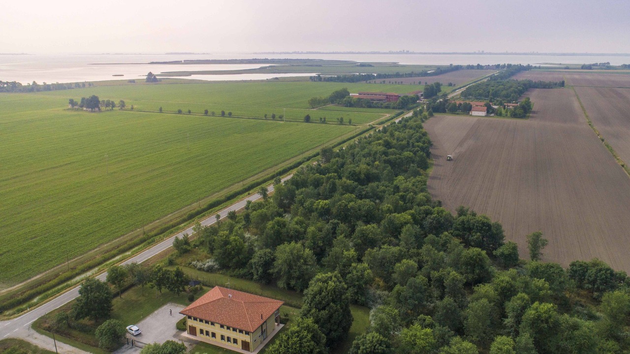 Photo of Outdoor in Marano Lagunare