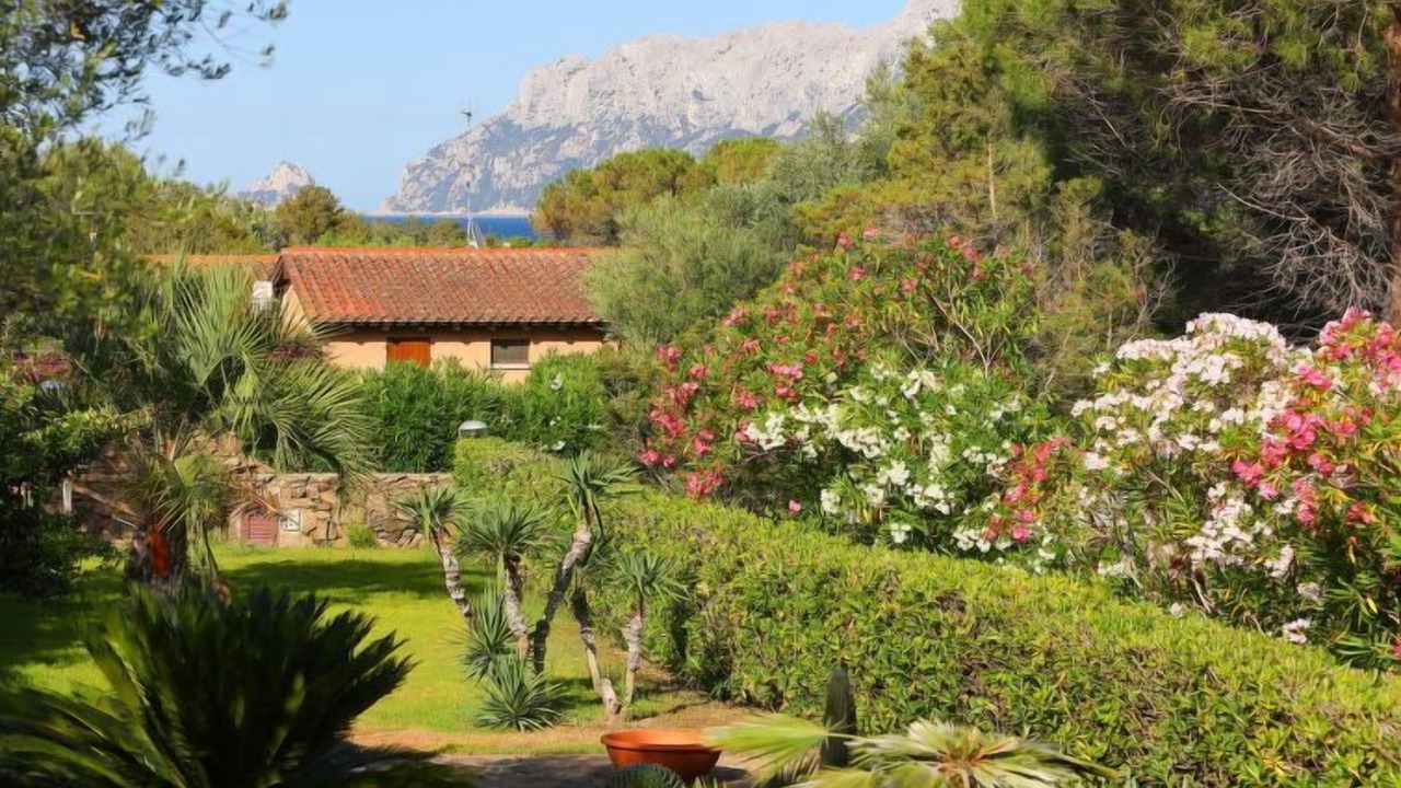 Photo of Others in Porto Istana