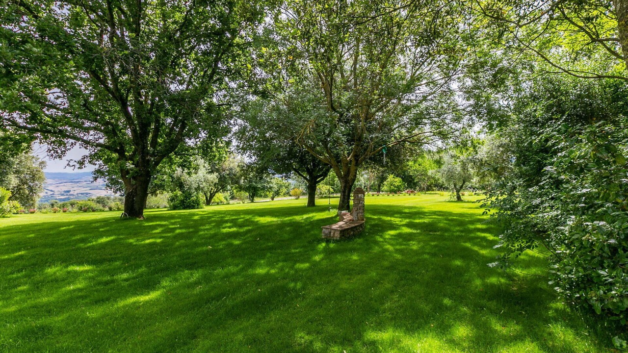 Photo of Others in Sasso dʼOmbrone