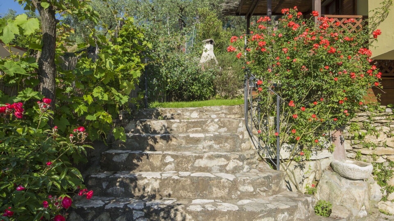 Photo of Outdoor in Massarosa
