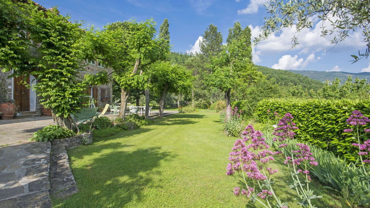 Photo of Outdoor in Rufina
