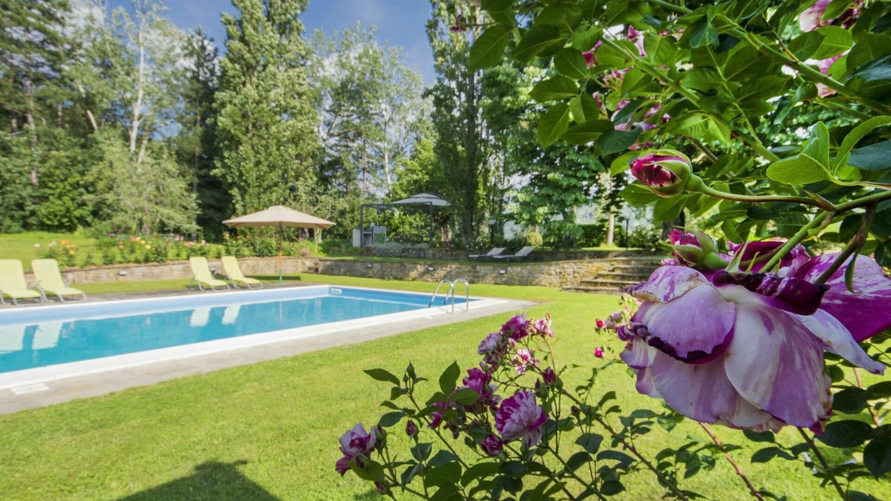 Photo of Outdoor in Rufina