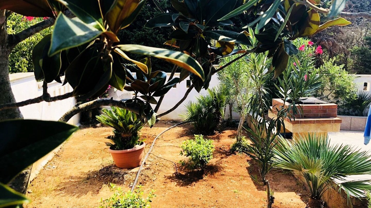 Photo of Outdoor in Lido Marini