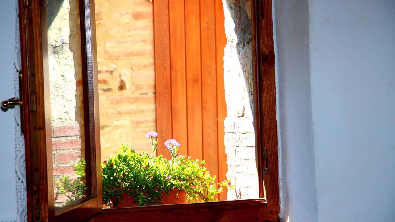Photo of Others in Montieri