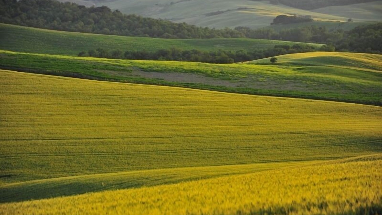 Photo of Others in Pienza