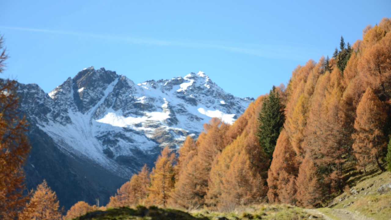 Photo of Outdoor in Pejo