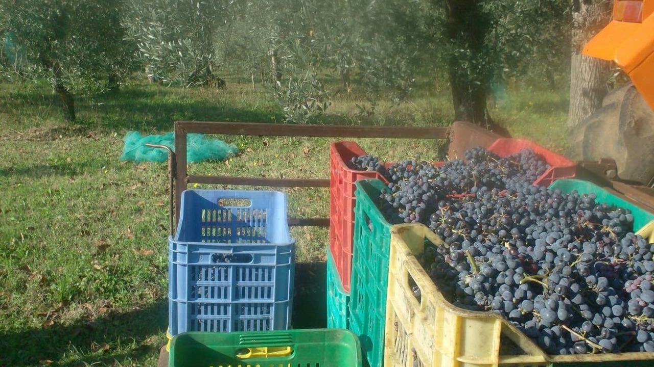 Photo of Outdoor in Sicignano degli Alburni