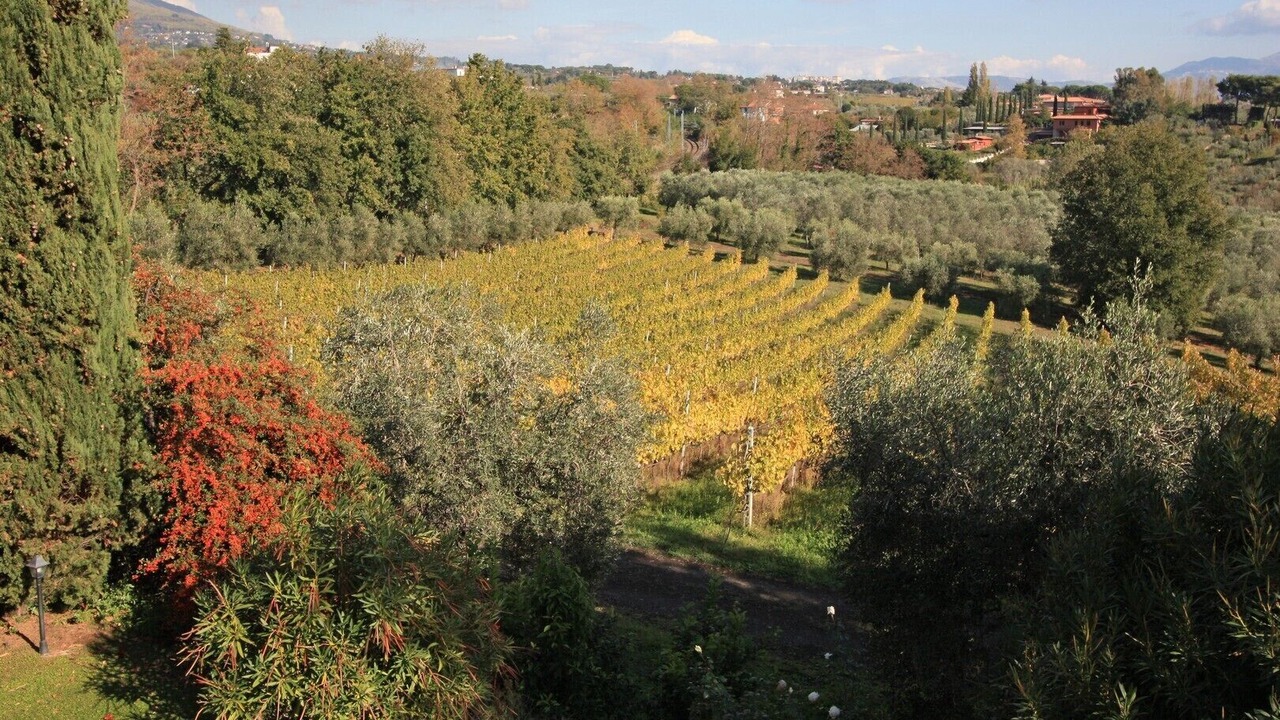 Photo of Outdoor in Padua