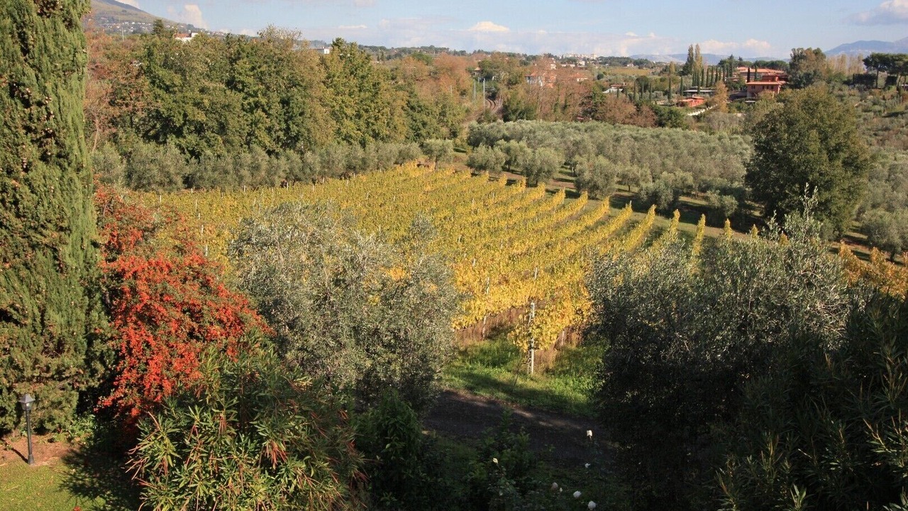 Photo of Outdoor in Padua