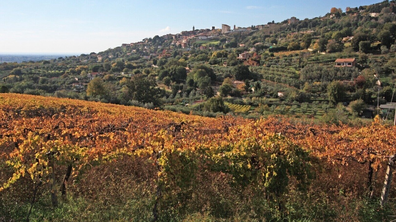 Photo of Others in Padua