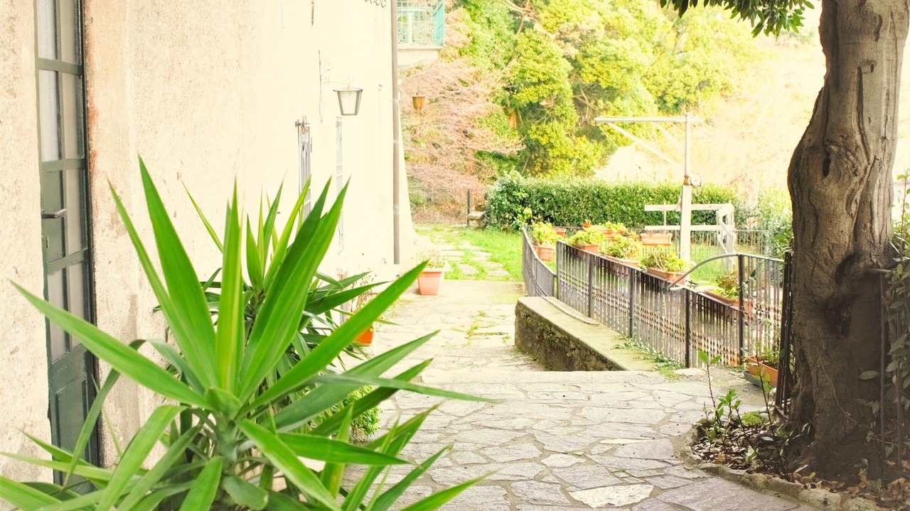 Photo of Outdoor in Cannobio