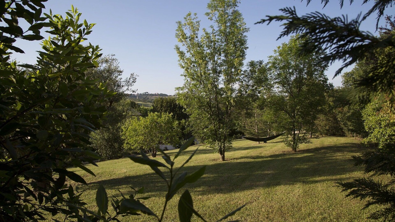 Photo of Others in Ostra